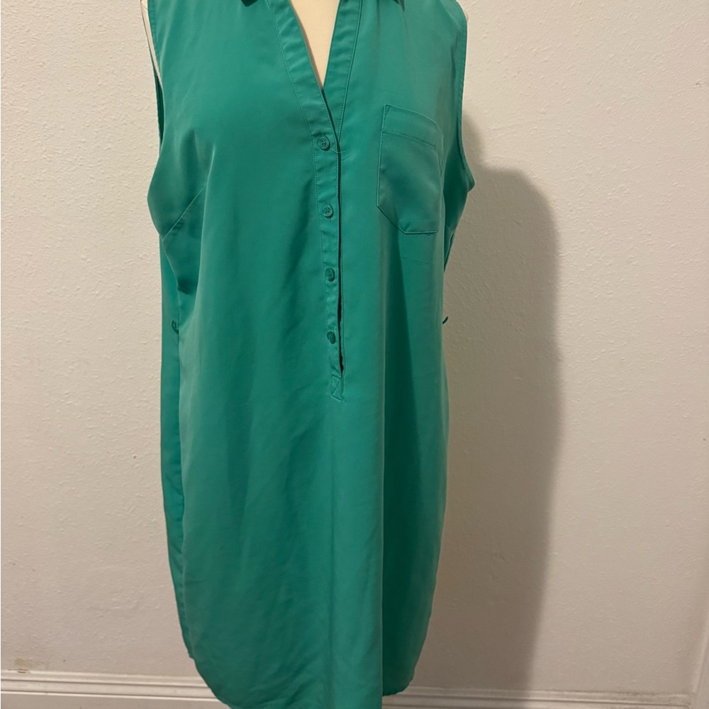 The Limited Green Midi Dress